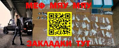 мяу мяу мука Новодвинск
