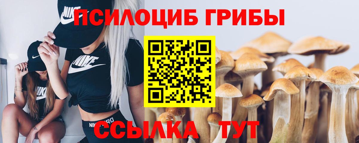 Псилоцибиновые грибы мухоморы Черкесск